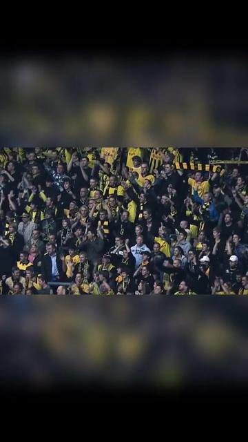 亚博-字母哥重返赛场，刷新纪录首场状态出色，热火观众沸腾！引发球迷热议的简单介绍-亚博